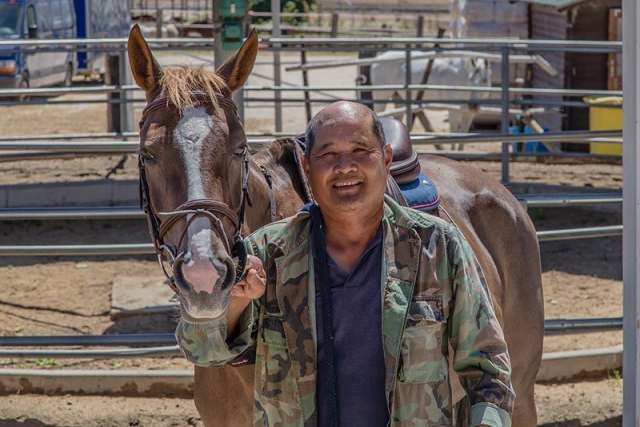 Cuidado de los caballos